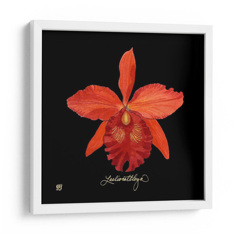 Vivid Orchid Ix - Ginny Joyner | Cuadro decorativo de Canvas Lab