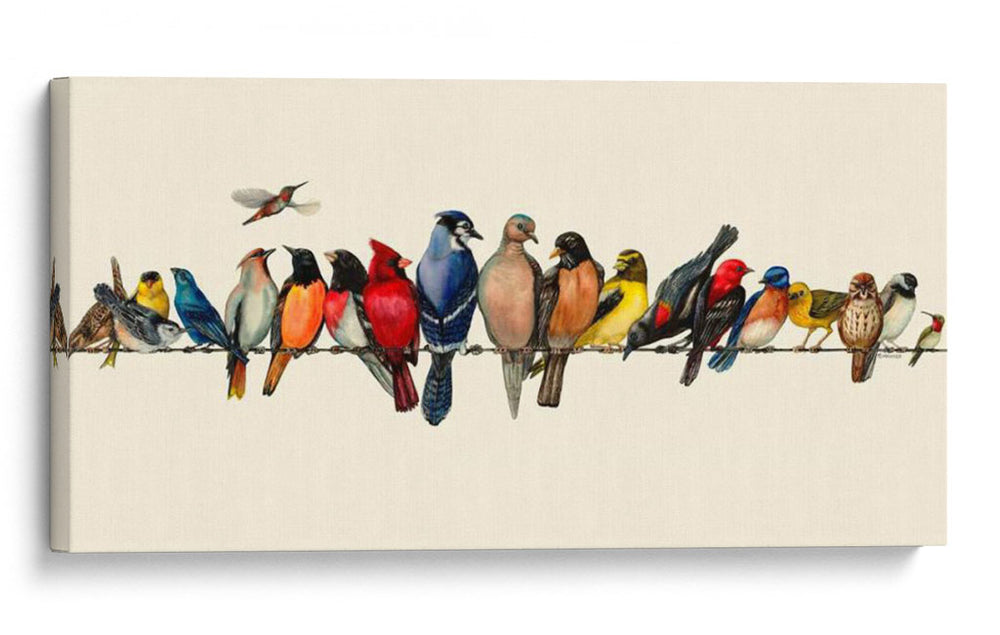 Bird Menagerie Iii - Wendy Russell | Cuadro decorativo de Canvas Lab