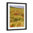 Amapolas En El Campo I - Colby Chester | Cuadro decorativo de Canvas Lab