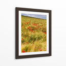 Amapolas En El Campo I - Colby Chester | Cuadro decorativo de Canvas Lab
