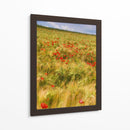 Amapolas En El Campo I - Colby Chester | Cuadro decorativo de Canvas Lab