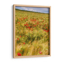 Amapolas En El Campo I - Colby Chester | Cuadro decorativo de Canvas Lab