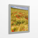 Amapolas En El Campo I - Colby Chester | Cuadro decorativo de Canvas Lab
