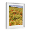 Amapolas En El Campo I - Colby Chester | Cuadro decorativo de Canvas Lab