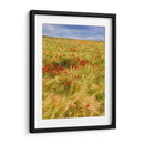 Amapolas En El Campo Ii - Colby Chester | Cuadro decorativo de Canvas Lab