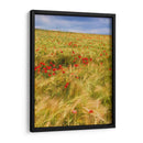 Amapolas En El Campo Ii - Colby Chester | Cuadro decorativo de Canvas Lab