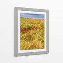 Amapolas En El Campo Ii - Colby Chester | Cuadro decorativo de Canvas Lab