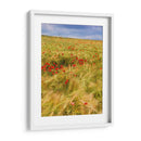 Amapolas En El Campo Ii - Colby Chester | Cuadro decorativo de Canvas Lab