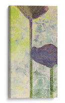 Quad Poppy Ii - Ricki Mountain | Cuadro decorativo de Canvas Lab