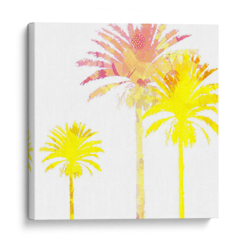 Sunny Palm I - Ricki Mountain | Cuadro decorativo de Canvas Lab