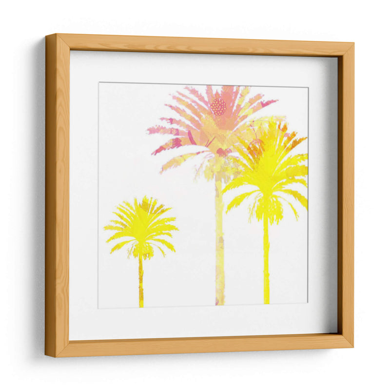 Sunny Palm I - Ricki Mountain | Cuadro decorativo de Canvas Lab