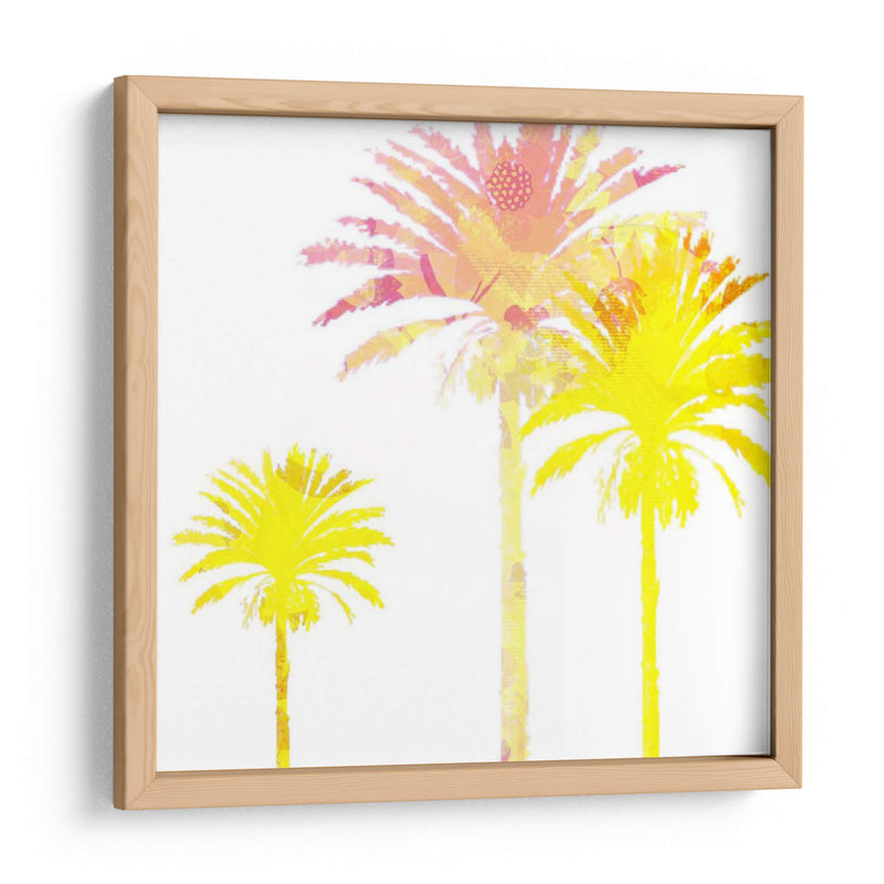 Sunny Palm I - Ricki Mountain | Cuadro decorativo de Canvas Lab