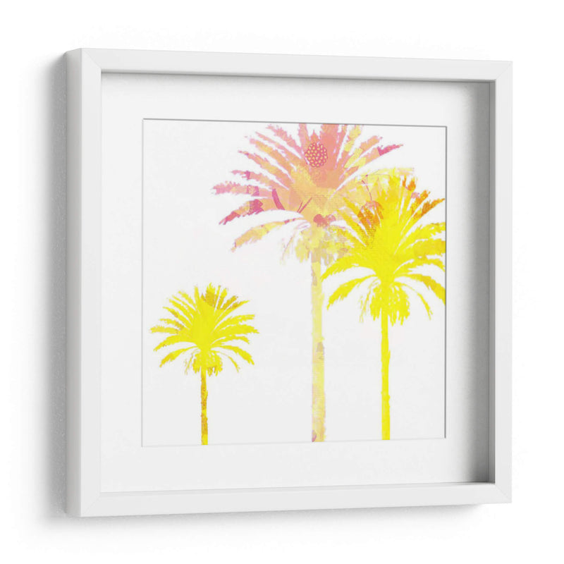 Sunny Palm I - Ricki Mountain | Cuadro decorativo de Canvas Lab