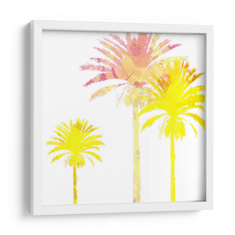 Sunny Palm I - Ricki Mountain | Cuadro decorativo de Canvas Lab