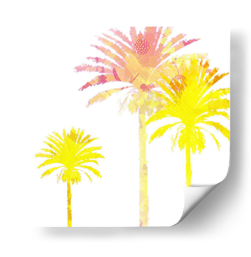 Sunny Palm I - Ricki Mountain | Cuadro decorativo de Canvas Lab