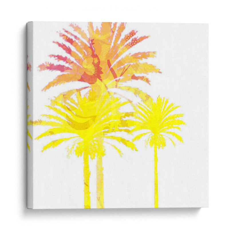 Sunny Palm Ii - Ricki Mountain | Cuadro decorativo de Canvas Lab