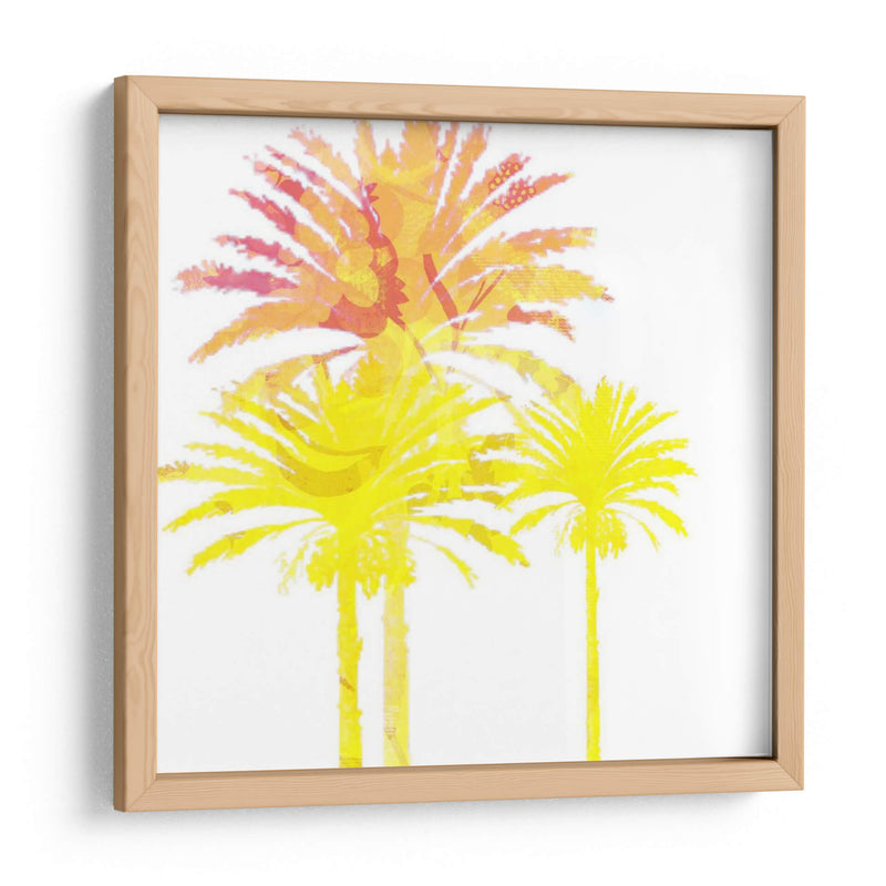 Sunny Palm Ii - Ricki Mountain | Cuadro decorativo de Canvas Lab