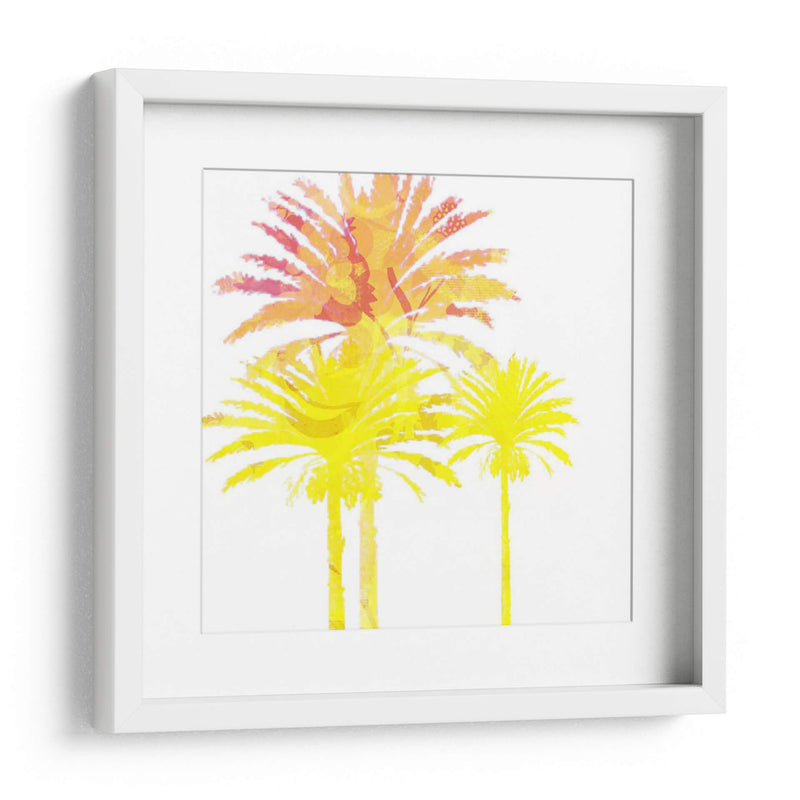 Sunny Palm Ii - Ricki Mountain | Cuadro decorativo de Canvas Lab