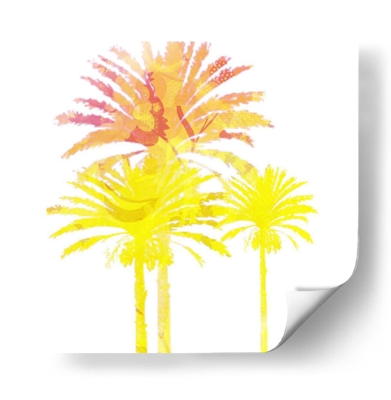 Sunny Palm Ii - Ricki Mountain | Cuadro decorativo de Canvas Lab