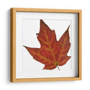 Inflorescencia De Hoja V - A. Project | Cuadro decorativo de Canvas Lab