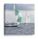 Racing De Agua Ii - A. Project | Cuadro decorativo de Canvas Lab