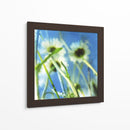 Margaritas Ii - Ingrid Blixt | Cuadro decorativo de Canvas Lab