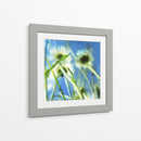 Margaritas Ii - Ingrid Blixt | Cuadro decorativo de Canvas Lab
