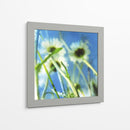 Margaritas Ii - Ingrid Blixt | Cuadro decorativo de Canvas Lab