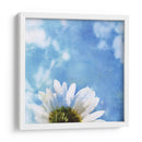 Margaritas Iii - Ingrid Blixt | Cuadro decorativo de Canvas Lab