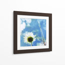 Margaritas Iv - Ingrid Blixt | Cuadro decorativo de Canvas Lab