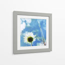 Margaritas Iv - Ingrid Blixt | Cuadro decorativo de Canvas Lab