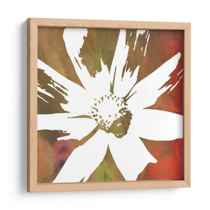 Flores De Paz I - James Burghardt | Cuadro decorativo de Canvas Lab