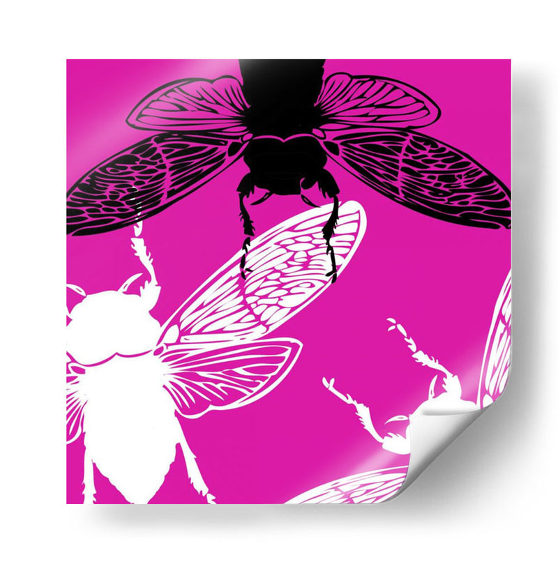 Pop Fly Ii - James Burghardt | Cuadro decorativo de Canvas Lab