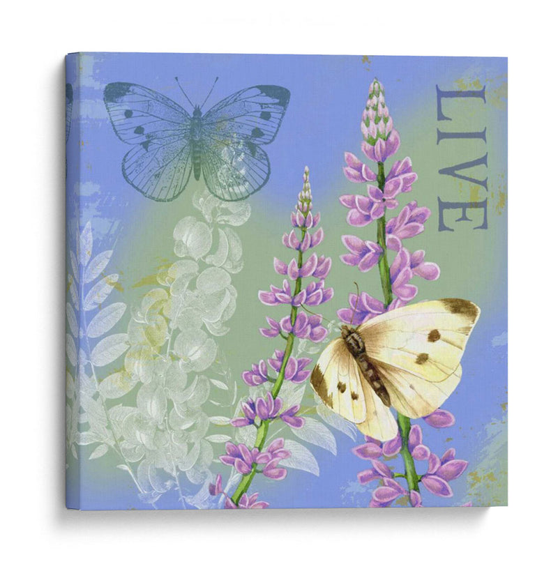 Mariposas Inspiran I - Jane Maday | Cuadro decorativo de Canvas Lab