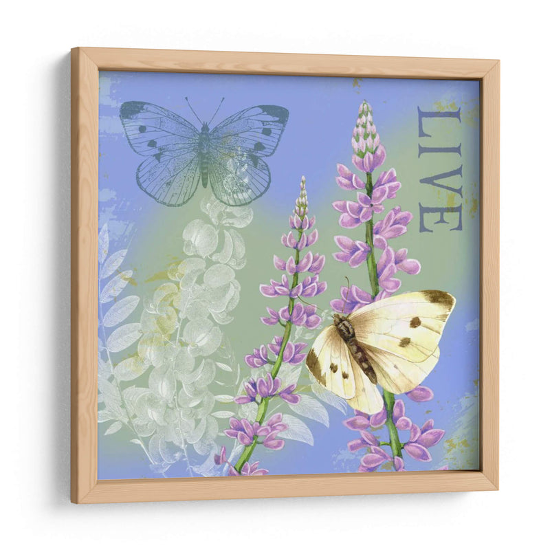 Mariposas Inspiran I - Jane Maday | Cuadro decorativo de Canvas Lab