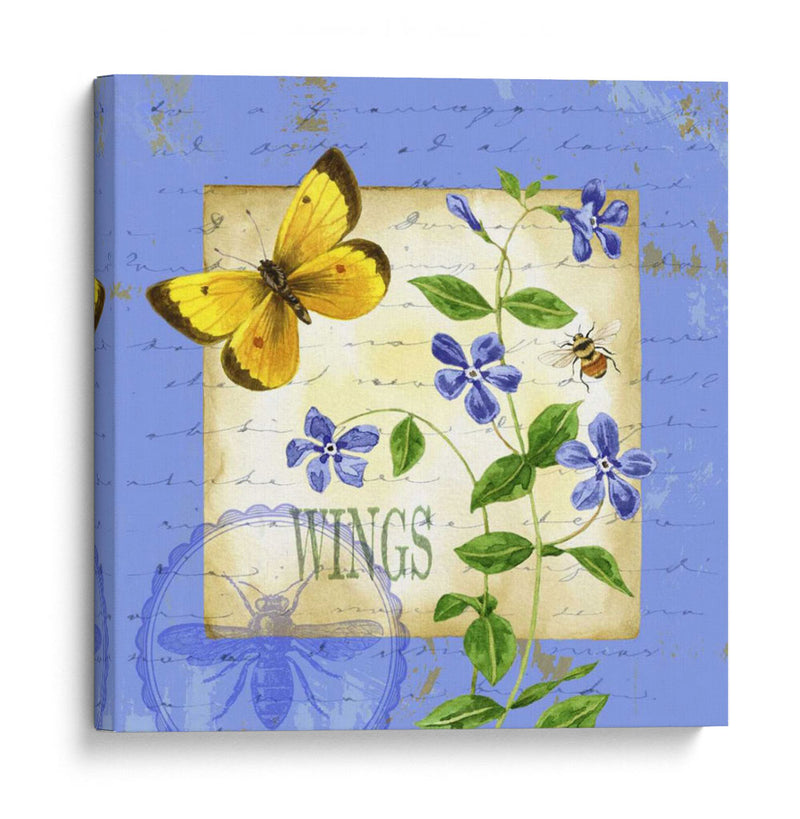 Butterfly Meadow Iii - Jane Maday | Cuadro decorativo de Canvas Lab