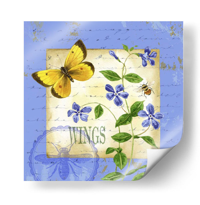 Butterfly Meadow Iii - Jane Maday | Cuadro decorativo de Canvas Lab