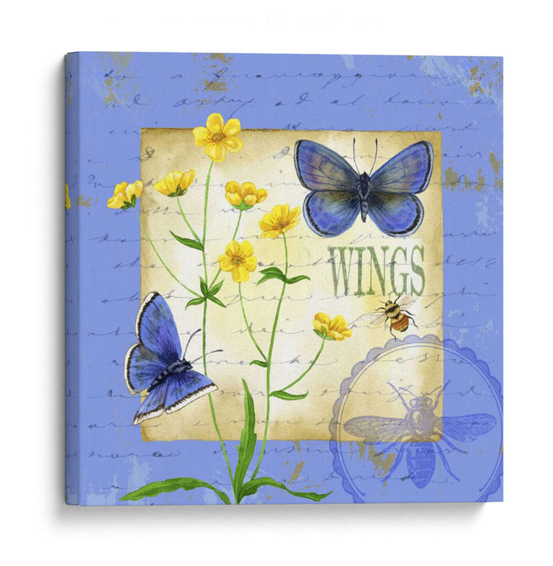 Mariposa Meadow Iv - Jane Maday | Cuadro decorativo de Canvas Lab