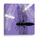 Pop Mosca V - James Burghardt | Cuadro decorativo de Canvas Lab