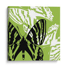 Pop Mosca Vi - James Burghardt | Cuadro decorativo de Canvas Lab