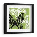 Pop Mosca Vi - James Burghardt | Cuadro decorativo de Canvas Lab