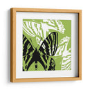 Pop Mosca Vi - James Burghardt | Cuadro decorativo de Canvas Lab