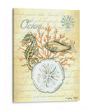 Bajo El Mar Iii - Sydney Wright | Cuadro decorativo de Canvas Lab