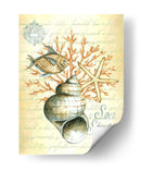 Bajo El Mar Iv - Sydney Wright | Cuadro decorativo de Canvas Lab