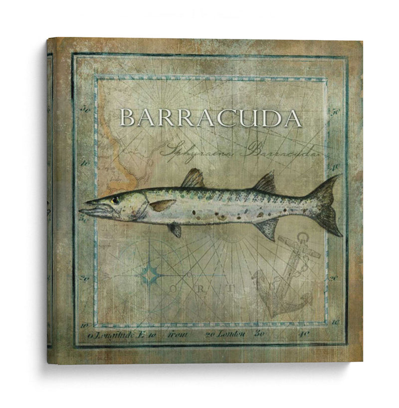 Pez Oceánico I - Beth Anne Creative | Cuadro decorativo de Canvas Lab