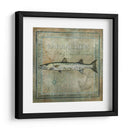 Pez Oceánico I - Beth Anne Creative | Cuadro decorativo de Canvas Lab