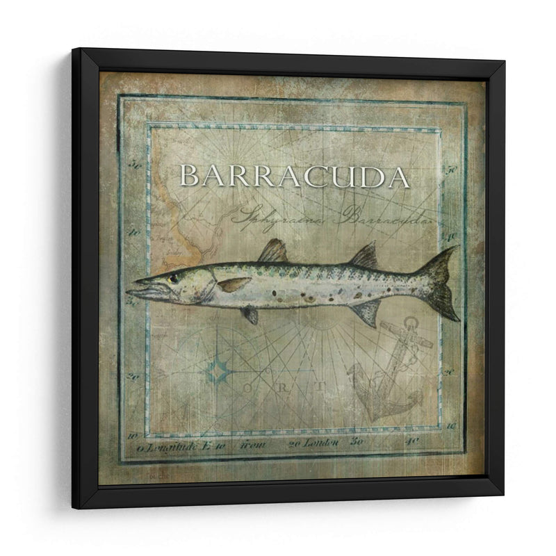 Pez Oceánico I - Beth Anne Creative | Cuadro decorativo de Canvas Lab