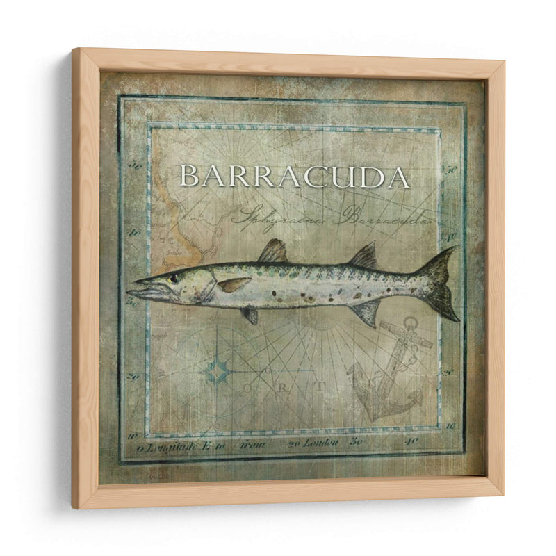 Pez Oceánico I - Beth Anne Creative | Cuadro decorativo de Canvas Lab