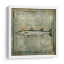 Pez Oceánico I - Beth Anne Creative | Cuadro decorativo de Canvas Lab