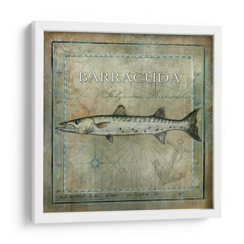Pez Oceánico I - Beth Anne Creative | Cuadro decorativo de Canvas Lab